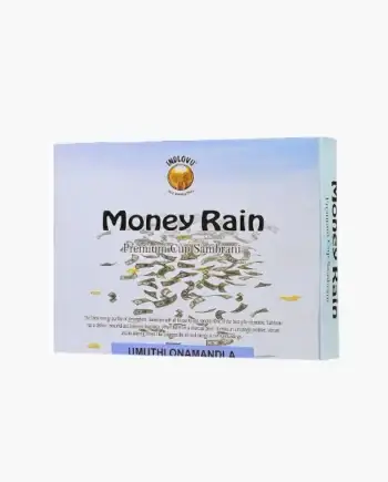 Money Rain Cups (12/pack)